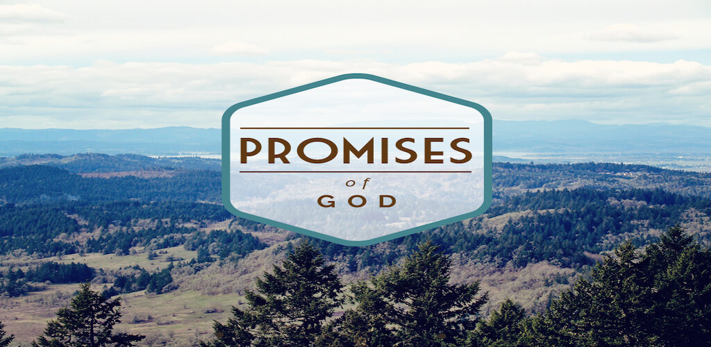 Promises, Promises image